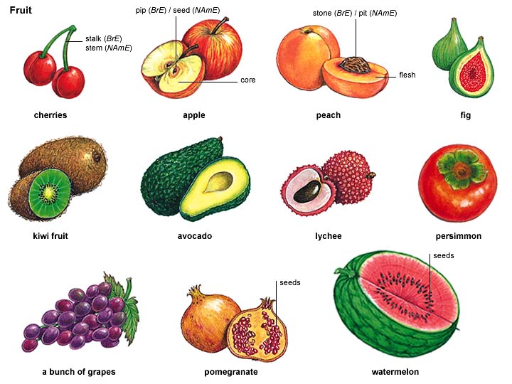Гпо фрукты лист. Фрукты список. Фрукты список с картинками. Красные фрукты список. Красные фрукты на английском.